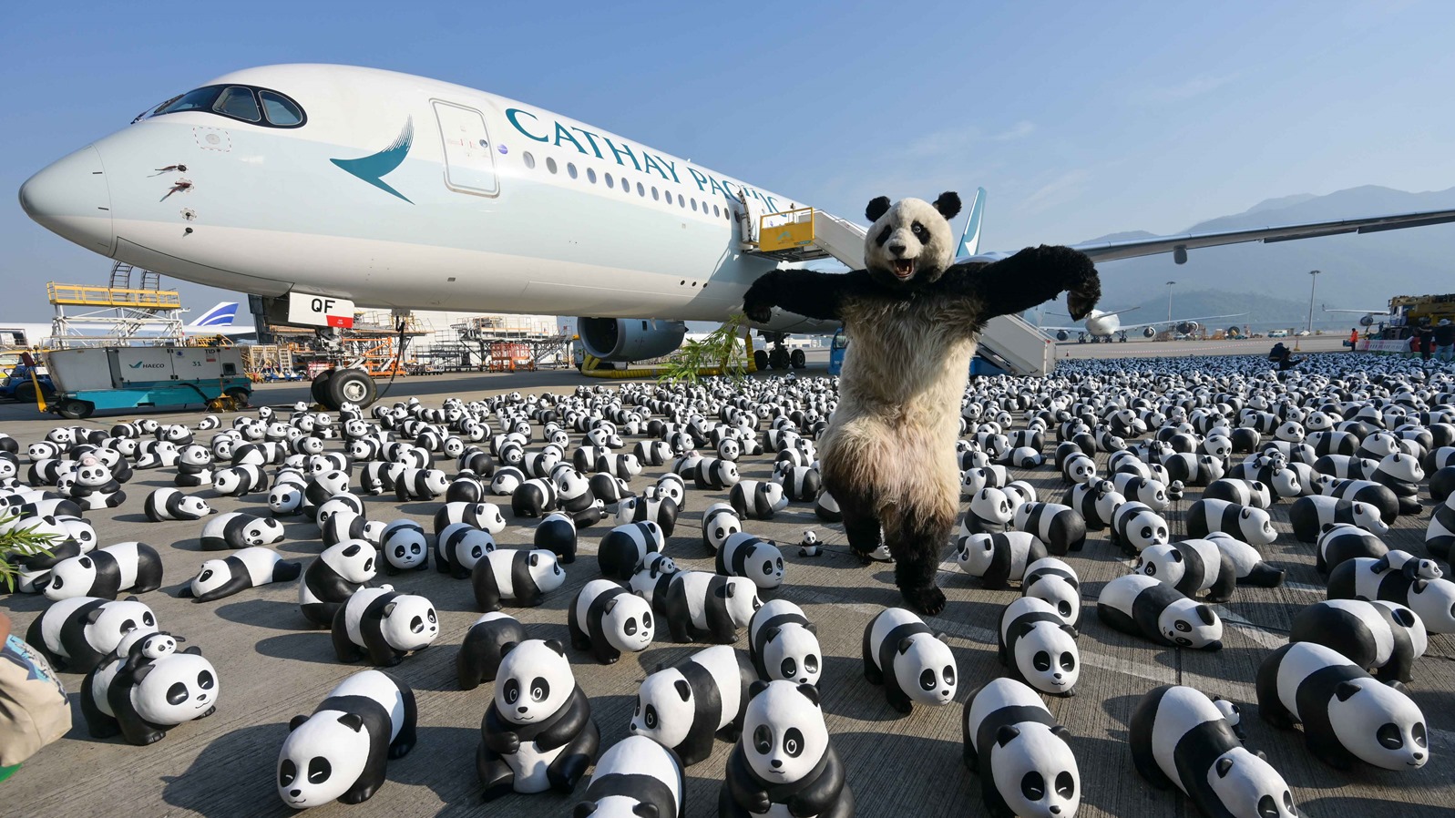 PANDA GO! FEST HK (2024)